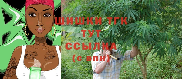 ешки Новозыбков