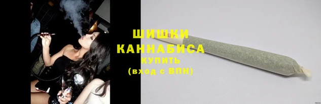 ешки Новозыбков