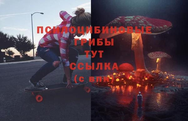 мдпв Вязьма