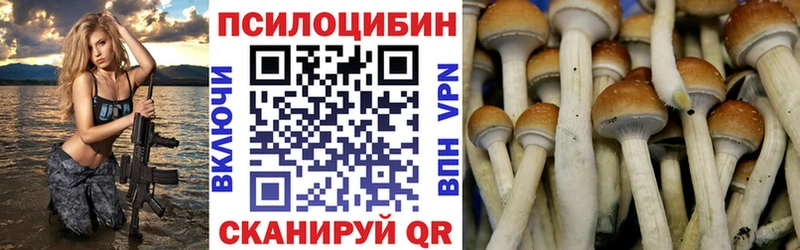 Галлюциногенные грибы GOLDEN TEACHER  Красный Кут 